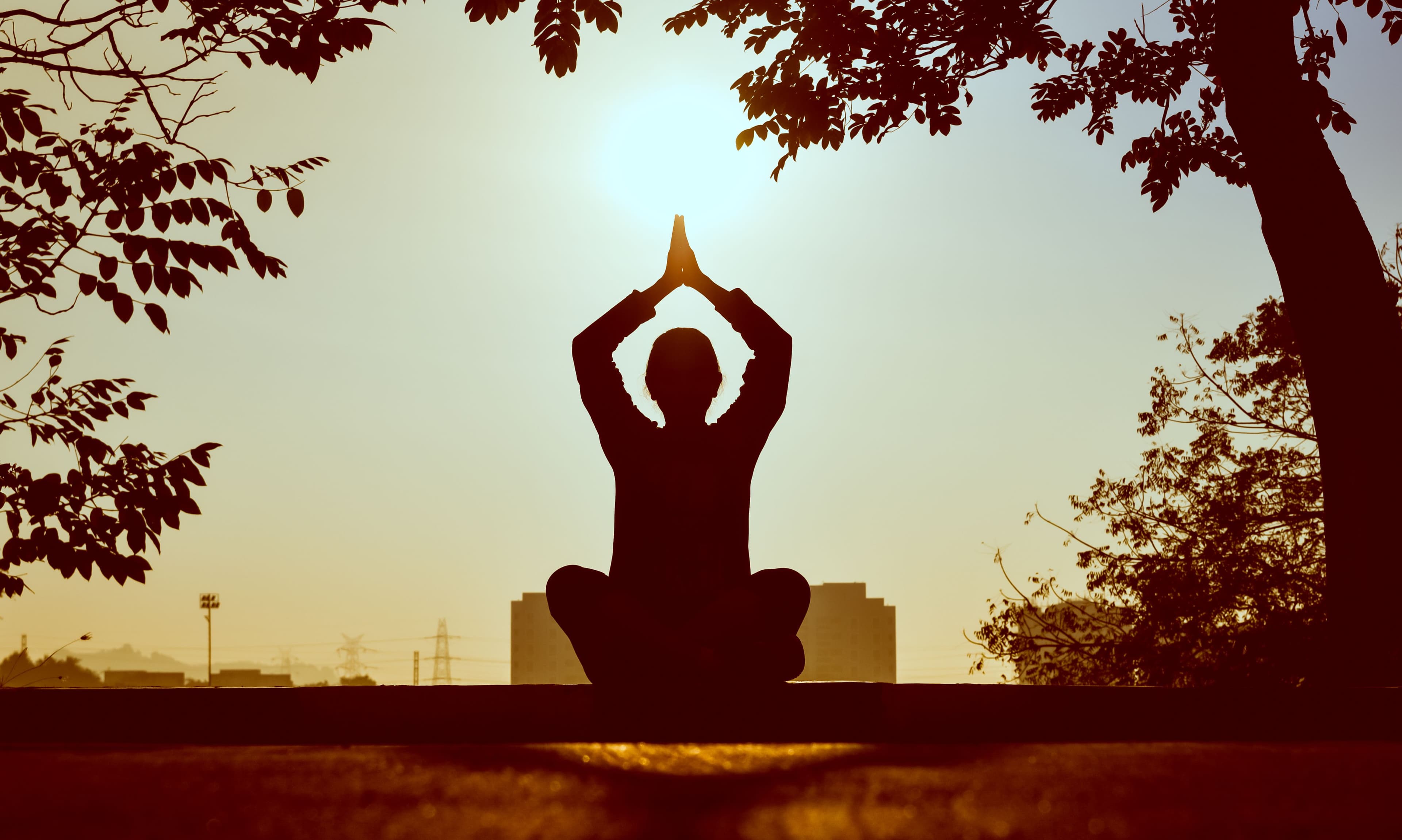 Meditation for Beginners: Start Your Practice Today